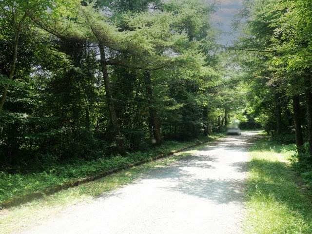 富士ヶ嶺高原別荘地　富士ドクタービレッジ②の前面道路含む現地写真