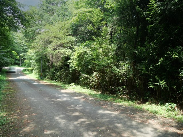 富士ヶ嶺高原別荘地　富士ドクタービレッジ③の前面道路含む現地写真