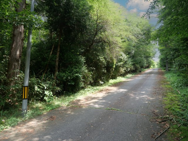 富士ヶ嶺高原別荘地　富士ドクタービレッジ③の前面道路含む現地写真