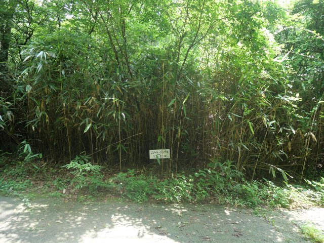 富士ヶ嶺高原別荘地　富士ドクタービレッジ④の外観