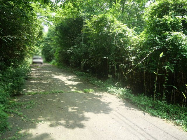 富士ヶ嶺高原別荘地　富士ドクタービレッジ④の前面道路含む現地写真