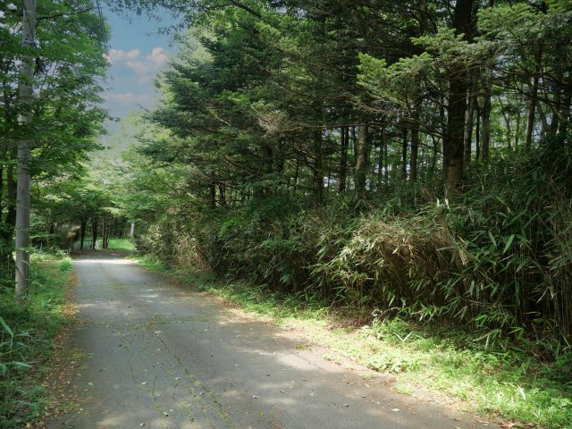富士ヶ嶺高原別荘地　富士ドクタービレッジ⑤の前面道路含む現地写真