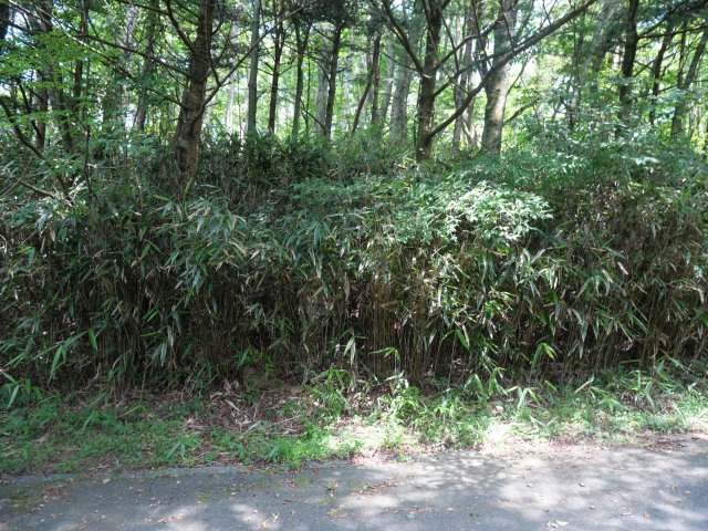 富士ヶ嶺高原別荘地　富士ドクタービレッジ⑤の外観