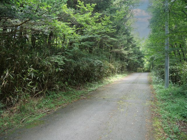 富士ヶ嶺高原別荘地　富士ドクタービレッジ⑤の前面道路含む現地写真