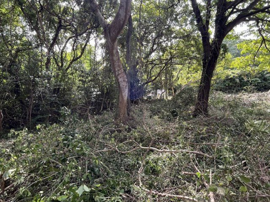 【外観】 | 伊東市八幡野　売地