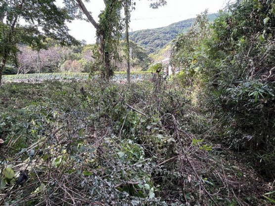 【外観】 | 伊東市八幡野　売地
