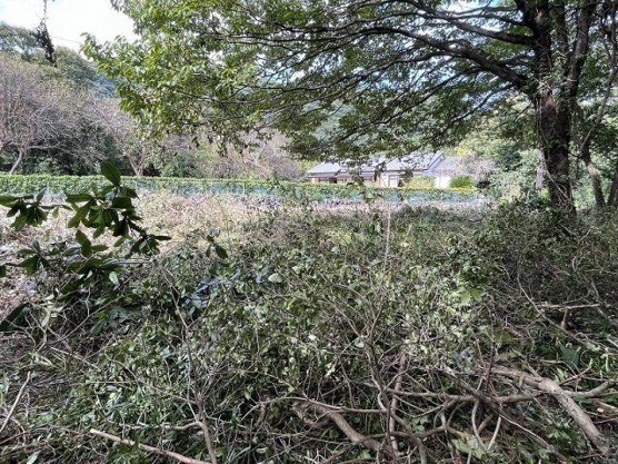 【外観】 | 伊東市八幡野　売地