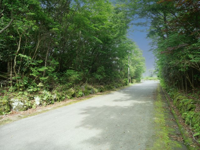 富士急十里木高原別荘地①　あしたかの前面道路含む現地写真