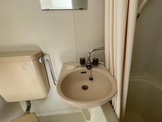 グレイスセントラルMの洗面所