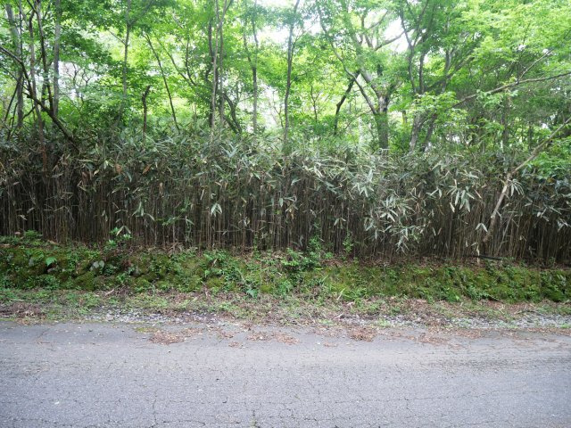 富士急十里木高原別荘地②　十里木の外観