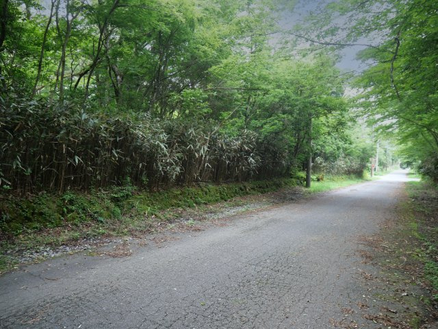 富士急十里木高原別荘地②　十里木の前面道路含む現地写真