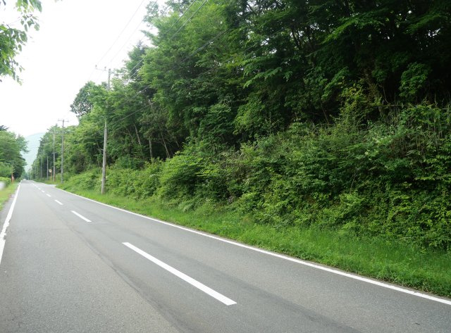 富士急十里木高原別荘地②　十里木の前面道路含む現地写真|2