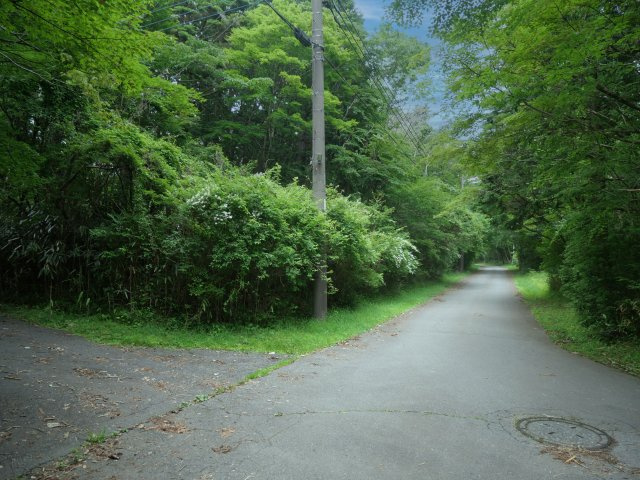 富士急十里木高原別荘地③　十里木の前面道路含む現地写真