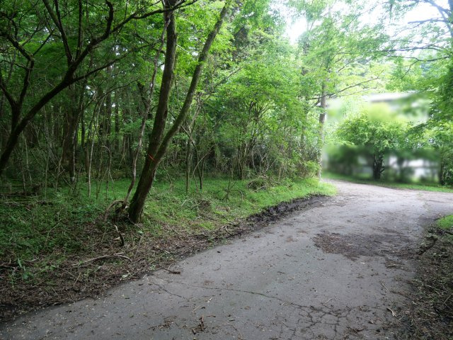 富士急十里木高原別荘地③　十里木の前面道路含む現地写真