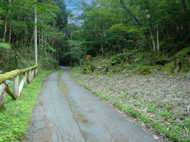 富士急十里木高原別荘地④　十里木の前面道路含む現地写真