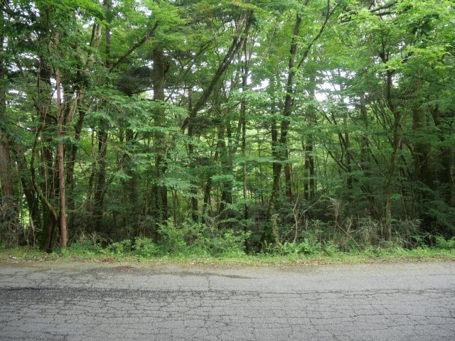 富士急十里木高原別荘地⑤　十里木の外観|北側