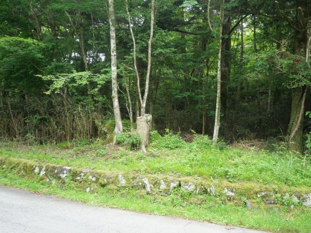 富士急十里木高原別荘地⑤　十里木の外観|南側