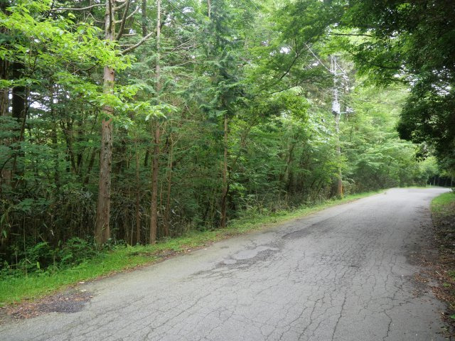 富士急十里木高原別荘地⑤　十里木の前面道路含む現地写真|北側道路より