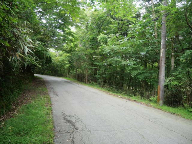 富士急十里木高原別荘地⑤　十里木の前面道路含む現地写真|北側道路より