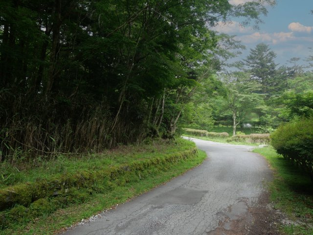 富士急十里木高原別荘地⑤　十里木の前面道路含む現地写真|南側道路より