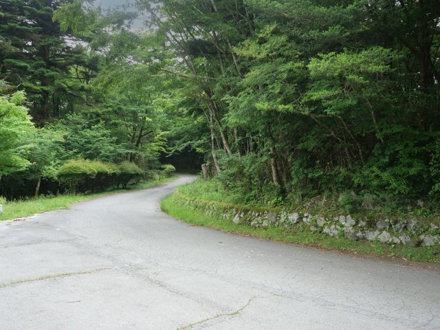 富士急十里木高原別荘地⑤　十里木の前面道路含む現地写真|南側道路より