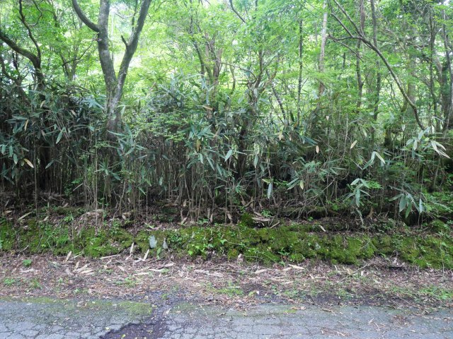 富士急十里木高原別荘地⑥　十里木の外観