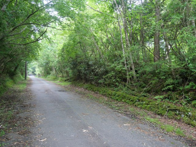 富士急十里木高原別荘地⑥　十里木の前面道路含む現地写真