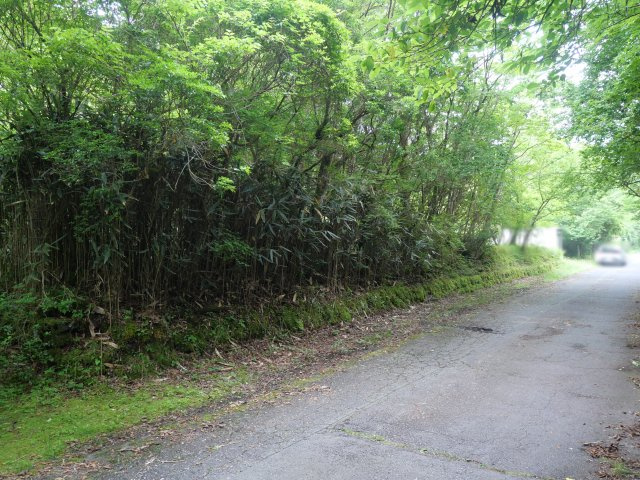 富士急十里木高原別荘地⑥　十里木の前面道路含む現地写真