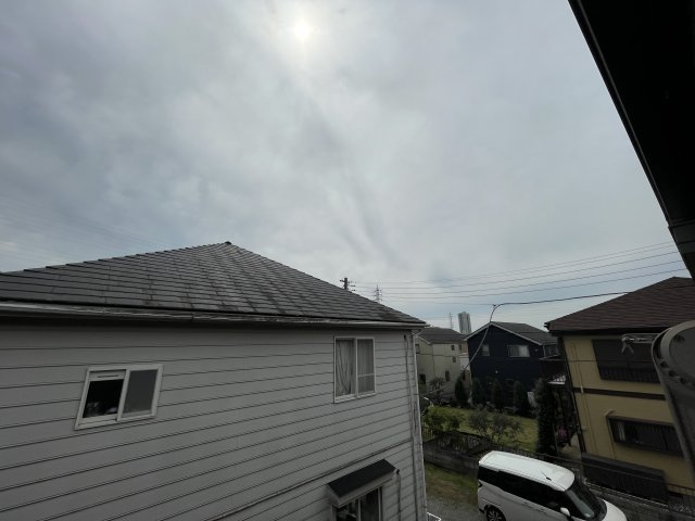 アプレストパピンの展望