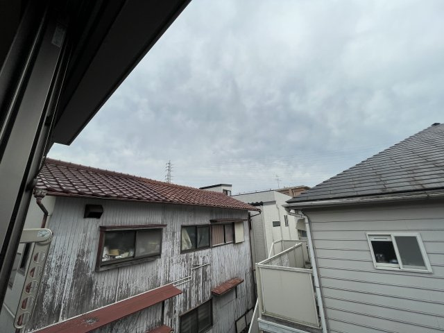 アプレストパピンの展望