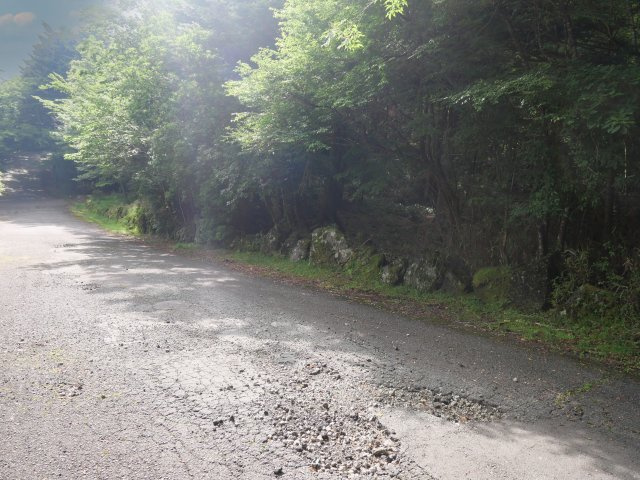 富士急十里木高原別荘地⑦　芙蓉の森林の前面道路含む現地写真