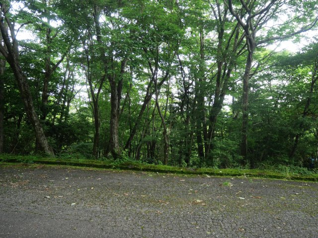 富士急十里木高原別荘地⑧　芙蓉の森林の外観