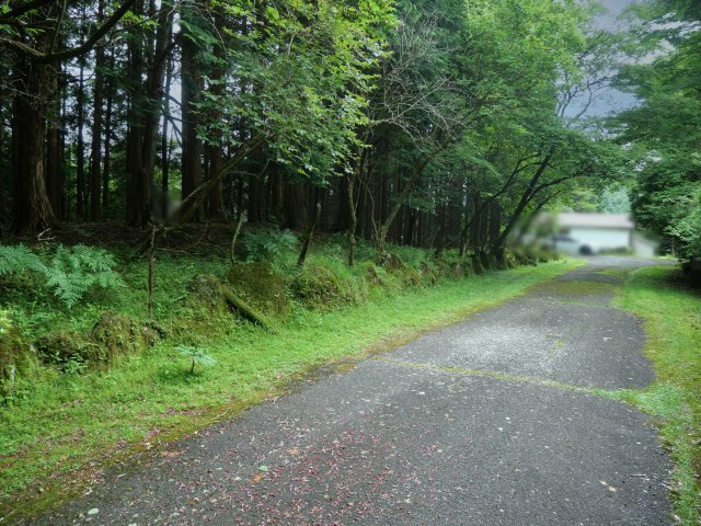 富士急十里木高原別荘地⑨　芙蓉の森林の前面道路含む現地写真