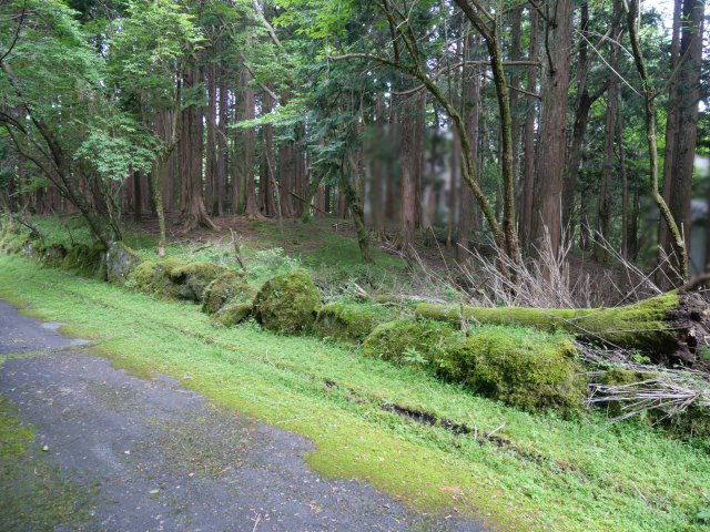 富士急十里木高原別荘地⑨　芙蓉の森林の外観