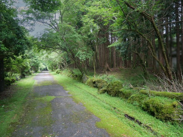 富士急十里木高原別荘地⑨　芙蓉の森林の前面道路含む現地写真