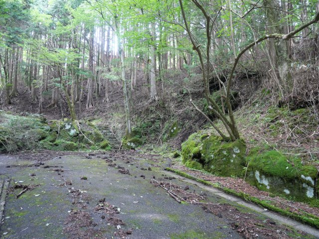 富士急十里木高原別荘地⑩　芙蓉の森林の前面道路含む現地写真