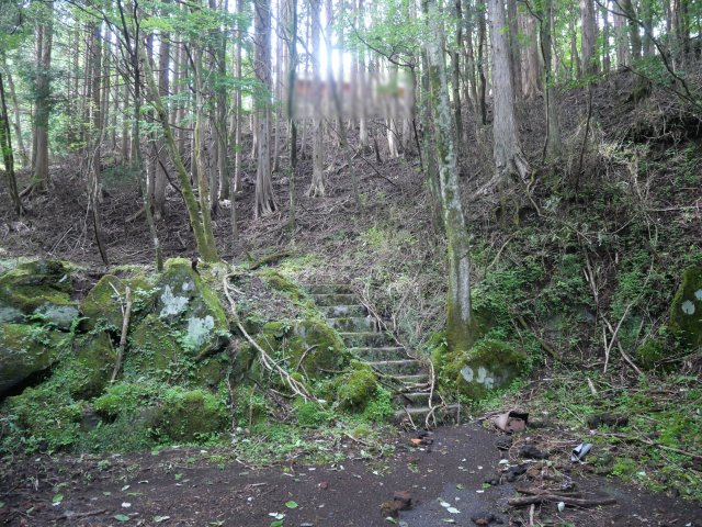 富士急十里木高原別荘地⑩　芙蓉の森林の外観