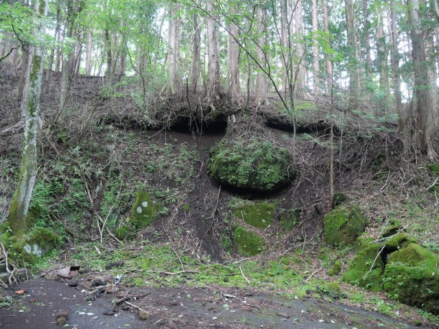 富士急十里木高原別荘地⑩　芙蓉の森林の外観