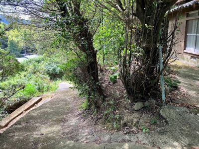 【前面道路含む現地写真】 | 淡路市小田　古家付き土地