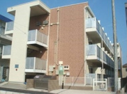 セードルの画像