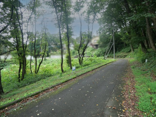 南那須・大金台林間住宅地①の前面道路含む現地写真