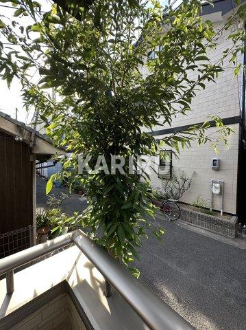 フォレストメゾンiの展望