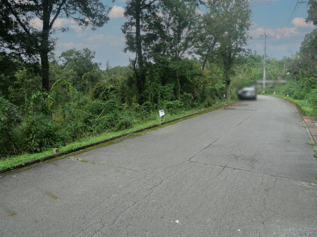 南那須・大金台林間住宅地②の前面道路含む現地写真