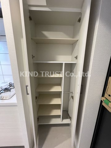 エスリード大阪梅田リュクスの収納|便利な収納スペースです