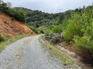 神戸市北区山田町　山林1の画像