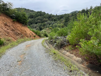 【外観】 | 神戸市北区山田町　山林1