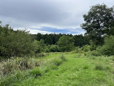 【外観】 | 京都府船井郡京丹波町　事業用地