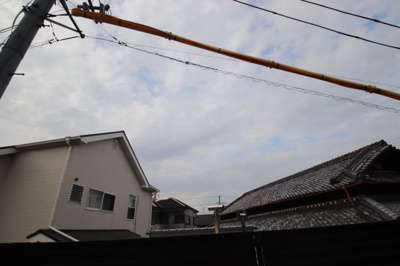 【展望】 | ペトカ