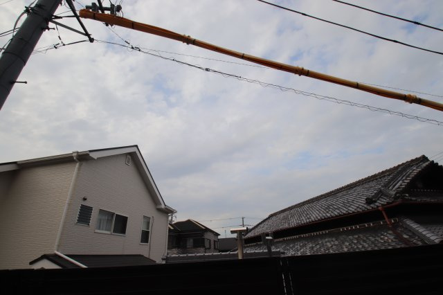 【展望】 | ペトカ