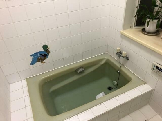 【浴室】 | 伊東市玖須美元和田　戸建